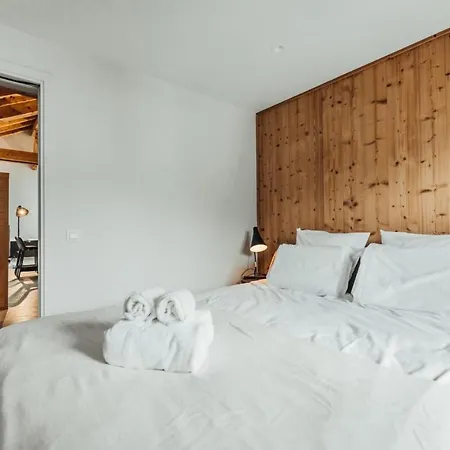 Luxurious 3-bedroom Flat With Sauna And Garage 霞慕尼