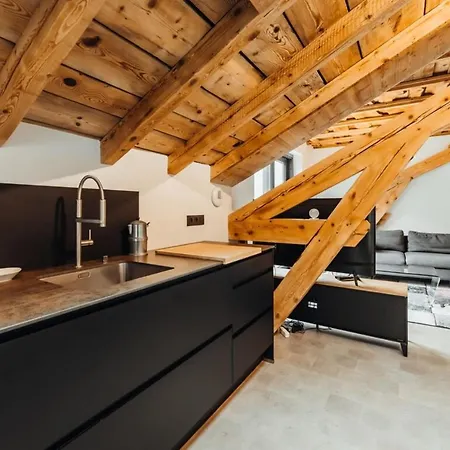 Luxurious 3-bedroom Flat With Sauna And Garage